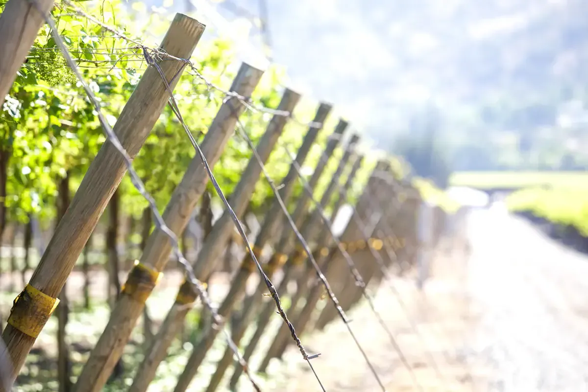 Postes para agricultura