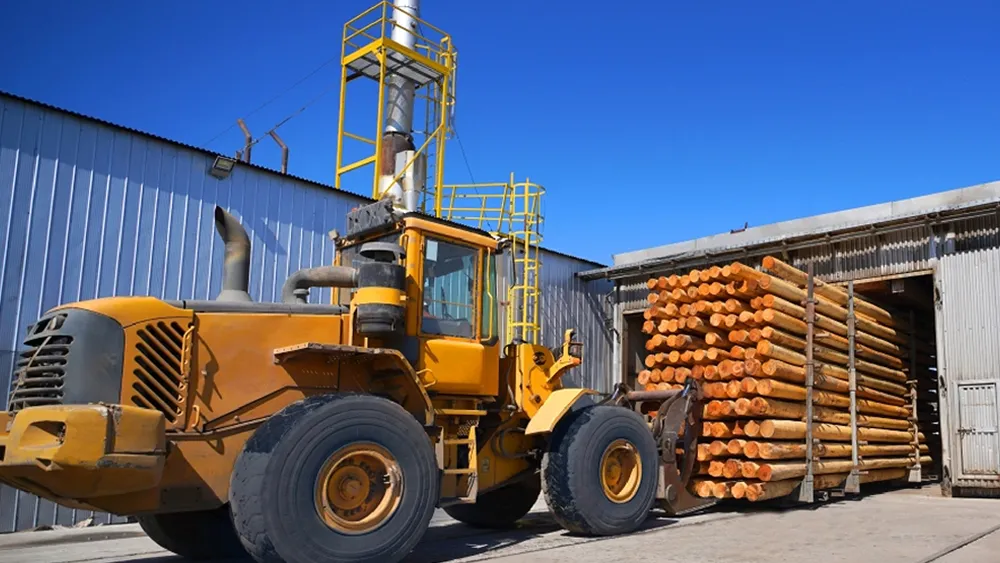 Cámaras de secado de madera